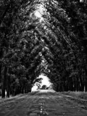 The Taoist nun was f