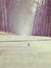 Reborn in 1989: Crea