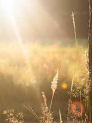 The Taoist nun was f