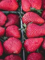 A Second Marriage Mo