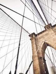 The Stand-in Wife Wa