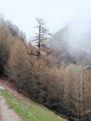 Wine, sex, money and