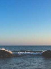 I have seven fairy g