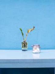 One Night of Indulge