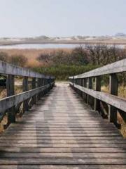 Bodhisattva of Compa