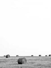 Spring fills Beijing