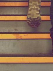 Rong Shao Nan Ning Y