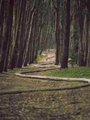 The Stand-in Wife Wa