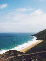 Two Treasures Arrive