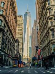 The Favorite Concubi