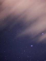 lt;Gingerly, Shen Qi