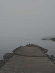 Saintly Gate Venerab