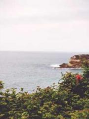 Fāng Chénlín Xuěyán