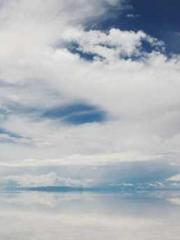 lt;Marry at first si