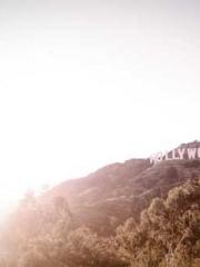 My Sweet Wife: The C