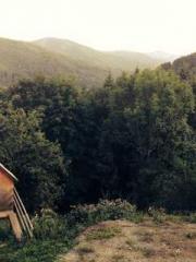 lt;Honor calls for N